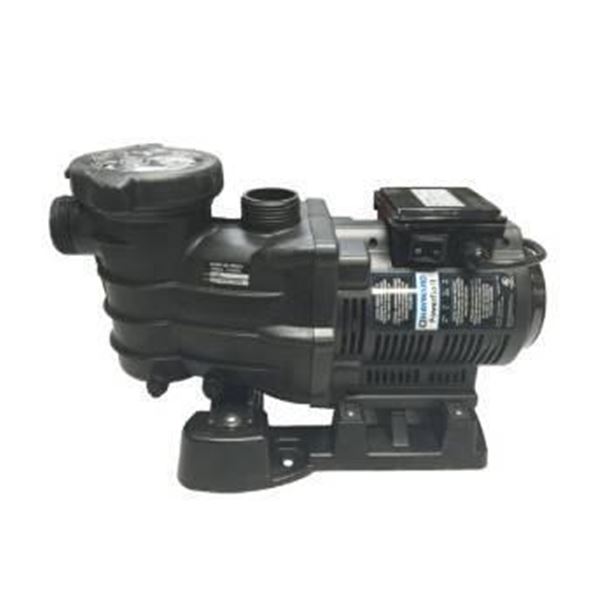 Hayward PowerFlo II Pool Pump Series
