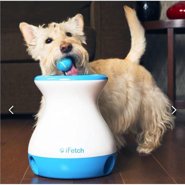 iFetch Frenzy Gravity-Driven Interactive Fetch Toy