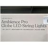 Image 3 : Brightech Ambience Pro Globe LED String Lights, 1W, 26 Ft, Black Wire
