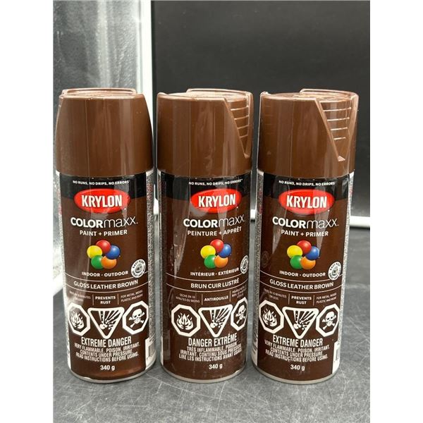 Krylon ColorMaxx Paint and Primer, Gloss Leather Brown, 340g (3 Cans)