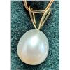 Image 3 : $140 14K  Pearl Pendant