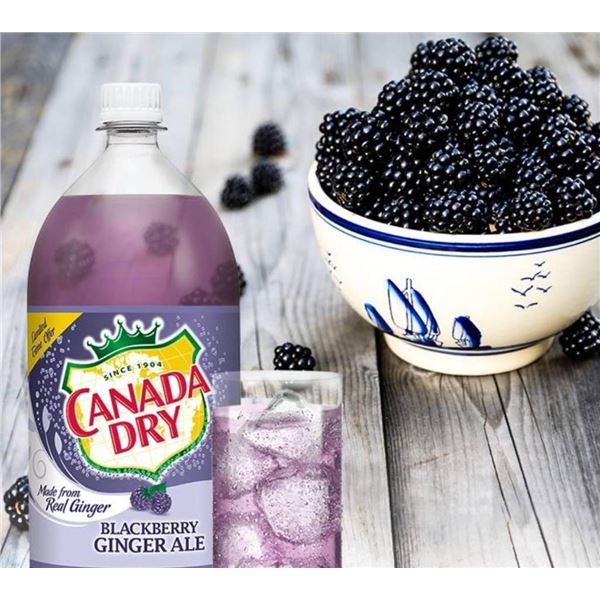 Canada Dry Blackberry Soda 24-Pack, 500 mL Bottles