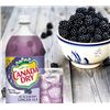 Image 1 : Canada Dry Blackberry Soda 24-Pack, 500 mL Bottles