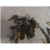 Image 2 : 55 Vintage Keys 