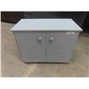 Image 1 : 2 Door Painted Cabinet 24'' x 31'' x 16 1/2'' 