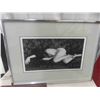 Image 2 : 3 Framed Photos/Sketches 