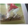 Image 7 : 6 Framed Baseball Player / Stadium Photos ,