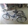 Image 9 : Norco 3 Wheel Adult Pedal Bike 
