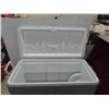 Image 3 : Coleman Extreme Cooler 