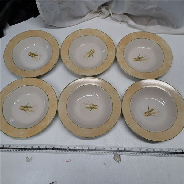 Set of 6 bowls