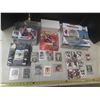 Image 1 : Hockey and Baseball Cards, NHL Hockey Frame, Mike Richer & Wayne Gretzky Figures and Toronto 4D City