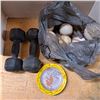 Image 1 : 8lb weights, baseballs and tin plate
