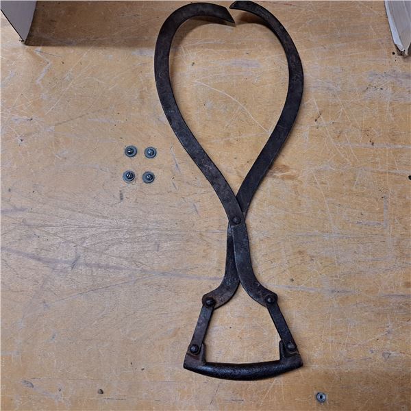 log tongs