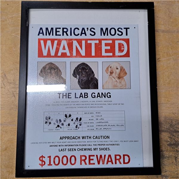 America's most wanted dogs poster- size 19" by 13"