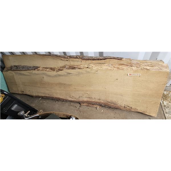 Beautiful Large-Width Rare White Spruce Live Edge Slab 97"L x 26"W x 3" Thick (Picture does not do i