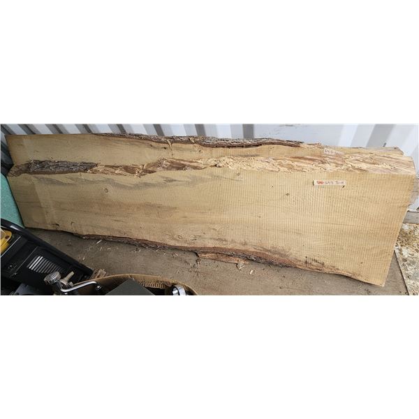 Beautiful Large-Width Rare White Spruce Live Edge Slab 97"L x 24.5"W x 2.75" Thick (Picture does not