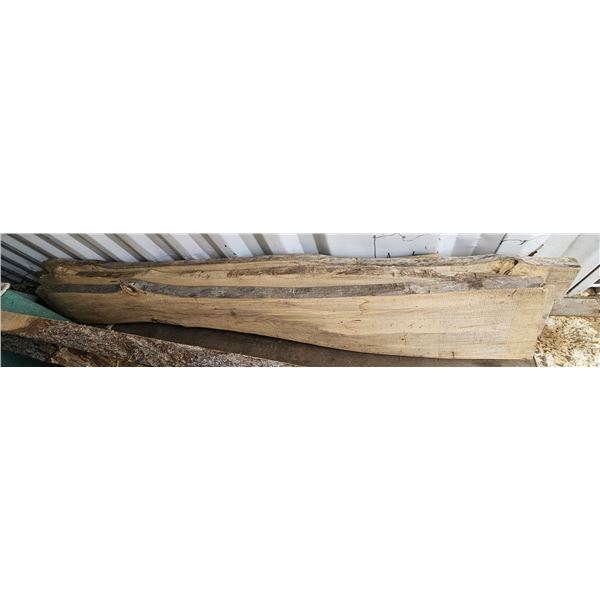 Beautiful Live Edge Spalted Black Poplar Slab 110"L x 13"W x 2" Thick; Pictures can't do justice to 