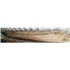 Image 1 : Beautiful Live Edge Spalted Black Poplar Slab 110"L x 13"W x 2" Thick; Pictures can't do justice to 
