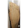 Image 1 : Beautiful Live Edge Spalted Black Poplar Slab 56.5" x 24.5" x 2"; Pictures can't do justice to the b