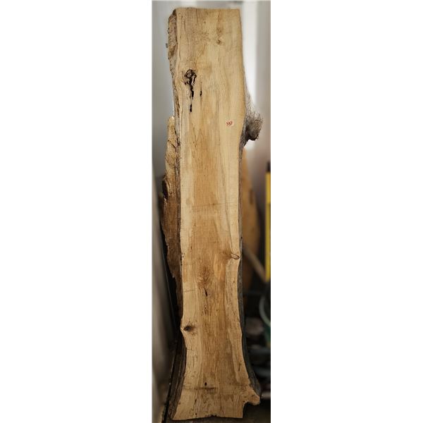 Beautiful Live Edge Spalted Black Poplar Slab 16.5" x 3" x 75.5"; Pictures can't do justice to the b