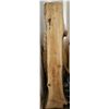Image 1 : Beautiful Live Edge Spalted Black Poplar Slab 16.5" x 3" x 75.5"; Pictures can't do justice to the b