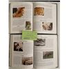 Image 3 : Exploring Creation - Land Animals, Swimming Creatures