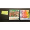 Image 3 : 2 - 1000 piece puzzles