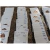 Image 3 : 100 – CARDED US PENNIES, FEW OLDER, MOSTLY 50'S,60' 70'S  UNC