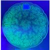 Image 1 : URANIUM DEPRESSION GLASS “CHERRY BLOSSOM” 7’WIDE PLATE