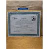 Image 4 : Glen Scrimshaw Limited Edition "10 - 7 At The Rink". Professionally Framed with Certificate of Authe