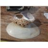 Image 3 : (3) Ships- Shells.
