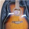 Image 2 : Jay turcer guitar and bag