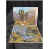 Image 2 : (5) Large Puzzles