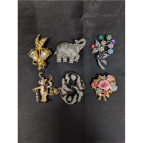 (6) Brooch's