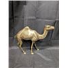 Image 1 : Brass Camel 9"x8" tall