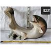 Image 1 : Fish bottle holder.