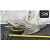 Image 4 : Fish bottle holder.