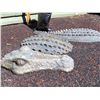 Image 5 : Outdoor metal penguin & 3 piece alligator.