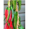 Image 3 : Hanging kitchen peppers.