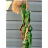 Image 5 : Hanging kitchen peppers.