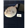 Image 2 : Decorative Shark and Blow Fish Dried (Real)