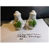 Image 2 : ROYAL ALBERT “TRILLIUM” SALT AND PEPPER SET