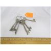 Image 1 : Lot of Skeleton Keys