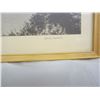 Image 3 : Antique Lake Louise Picture in Wooden Frame