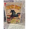 Image 1 : Black Fury comic Book