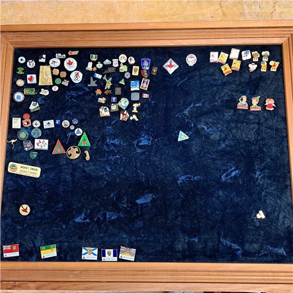 Picture frame full of pins- size 31" by 25"