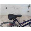 Image 4 : Vagabord 25'' Variable Speed Pedal Bike 