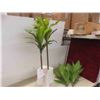 Image 4 : OAKRED artificial dracaena tree 4FT fake plants