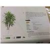 Image 5 : OAKRED artificial dracaena tree 4FT fake plants