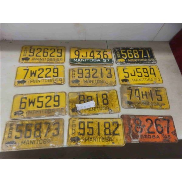 12 manitoba lisence plates 1945, 50, 60s 